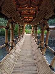 A bamboo bridge with artificial lighting at dusk