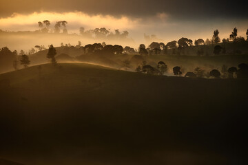 Obraz premium Beautiful view of cukul tea plantation located in West Java, Indonesia.