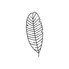 Tropical Palm leaf in a Trendy Minimalist Liner Style. Vector Illustration