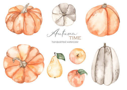 Watercolor set autumn time with orange and white pumpkins, apples, pear