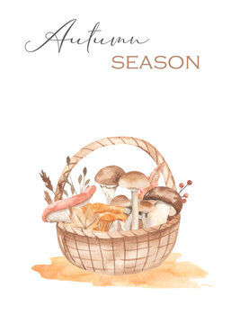 Watercolor card with mushrooms in a basket Autumn picnic