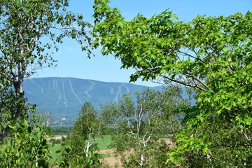 Obraz premium Orlean island on the St-Lawrence river