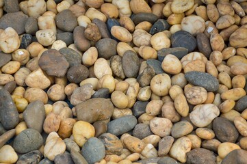 close up dry stone on the ground