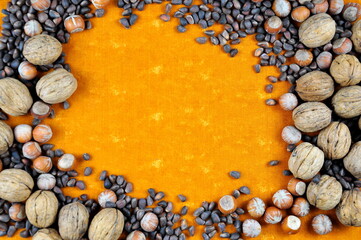 Different versions of nuts on a light background. Background image.