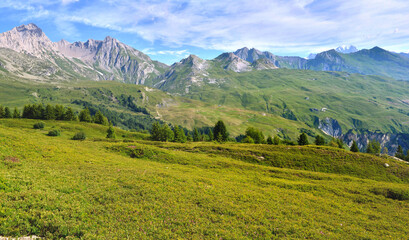 alpine mountain range and meadow in the valley