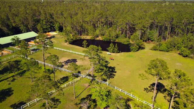 A broad view of abeutiful horse rance in sunny Florida shot on a drone
