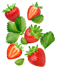 Whole and slice strawberry on white background. Strawberry isolated on white background. Flying fruits isolated on white background