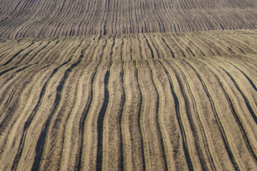 Plowed field on hills, Ukraine