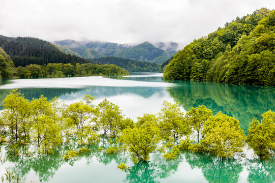 秋扇湖 Images – Browse 206 Stock Photos, Vectors, and Video