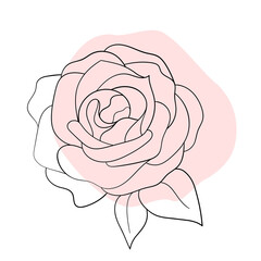 line black illustration graphics flower rose with colors stains. - obrazy, fototapety, plakaty