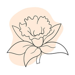 line black illustration graphics flower daffodil with colors stains