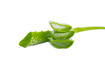 Green fresh Aloe vera sliced fresh aloe for herbal medical plant and beauty spa white isolated background