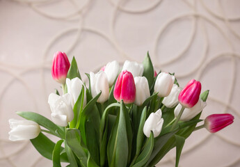 bouquet of delicate tulips on a light background