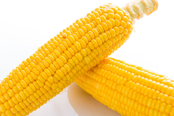 Close up Corn on white