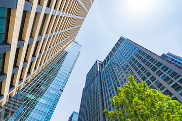 【東京都】都市風景 大手町のオフィスビル群