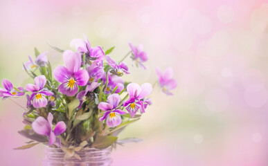 Naklejka na ściany i meble Bouquet of purple flowers on a pink background close-up. Soft selective focus