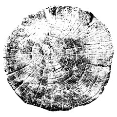 Tree growth rings. Natural cut wood. Vector illustration.