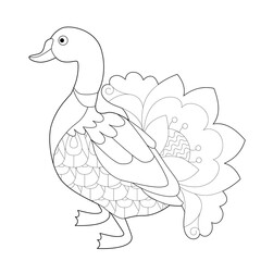Contour linear illustration with bird for coloring book. Cute duck, anti stress picture. Line art design for adult or kids  in zentangle style and coloring page.