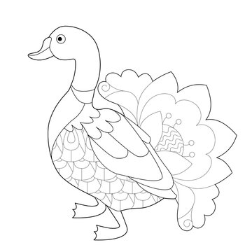 Contour linear illustration with bird for coloring book. Cute duck, anti stress picture. Line art design for adult or kids  in zentangle style and coloring page.