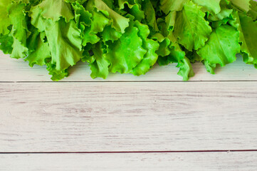 fresh green lettuce leaves on a light wooden background. High quality photo