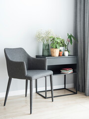 Different house plants on the table