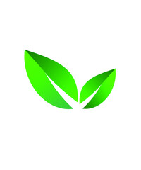 green leaf icon isolated