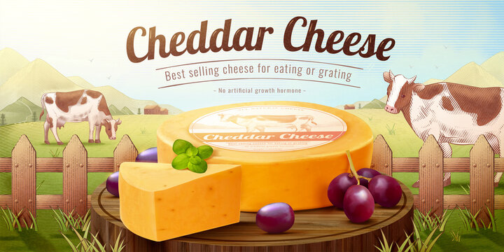 Engraving style farm product ad