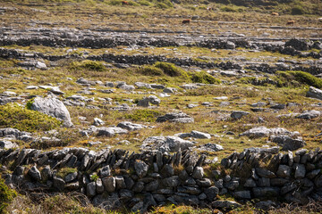 Famous rough rock landscape in Burren, county Clare, Ireland. Warm sunny day. Nobody. Stone terrain.