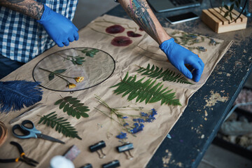 Male herbalist hands in sterile gloves making herbarium