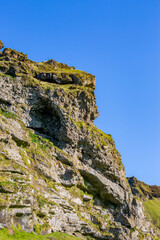 Miniature sheep looking for food high on the rocks. Southern Iceland. Clear blue sky, low angle view