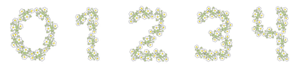 Numbers 0, 1, 2, 3, 4  made of white flowers