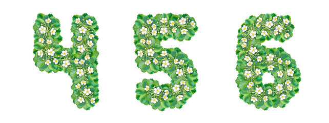 The numbers 4, 5, 6 are made from strawberry bushes