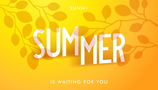 Sunny Summer is waiting for you. Bright sunny banner with shadow from branches with leaves. Vector card