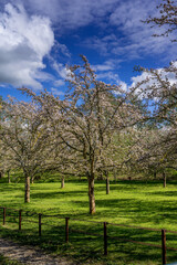 Obraz premium Paysage campagne 944