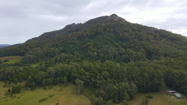 Middle Brother National Park - Lush Green Eucalyptus Forest And Rainforest In NSW, Australia. - aerial