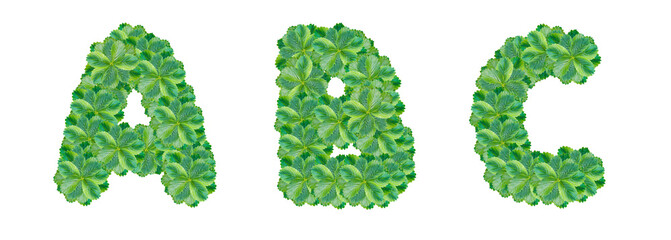 The letters A, B, C are made from strawberry leaves