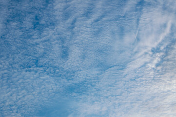 Fototapeta na wymiar ms. blue blue sky