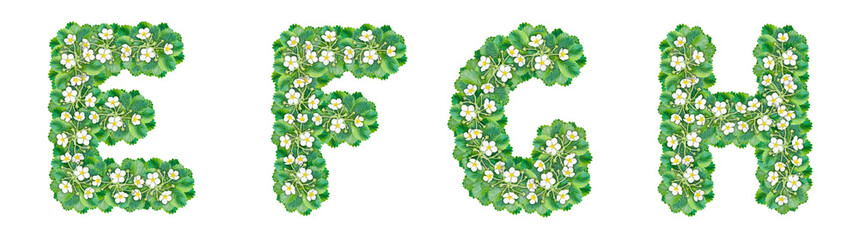 The letters E, F, G, H are made from strawberry bushes