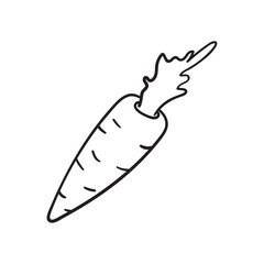Vector carrot icon