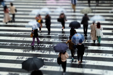 雨の日の歩行者