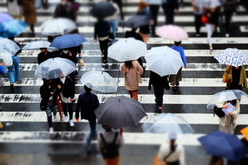 雨の日の歩行者
