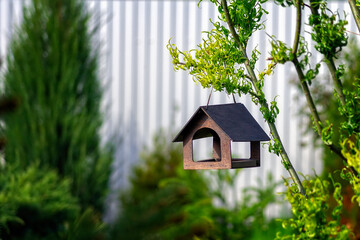 Bird feeder in the garden on a tree branch. A photograph with rich contrast. Wooden house for birds on the background of green trees.
