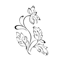 floral design with blooming flowers on stems with leaves and curls in black lines on a white background