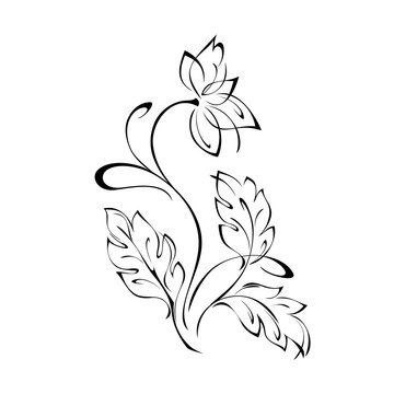floral design with blooming flowers on stems with leaves and curls in black lines on a white background