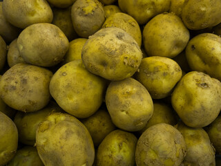 식재료로 사용되는 감자 모습