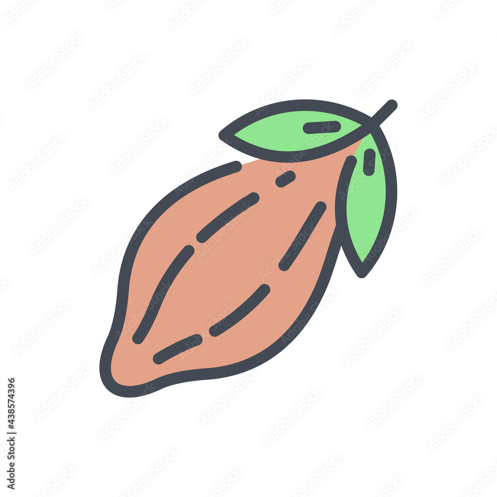 Poster cocoa fruit with leaves color line icon. cocoa bean vector outline colorful sign.
