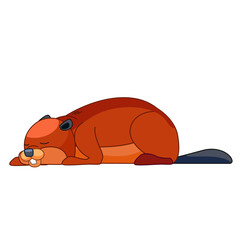 The beaver is asleep. Cartoon character of a small mammal animal. A wild forest creature with brown fur. Side view. Vector flat illustration isolated on a white background