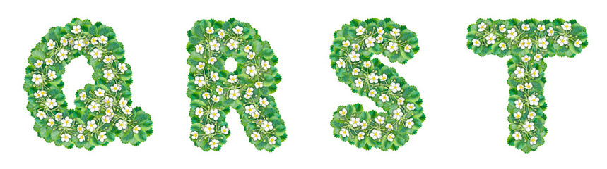 The letters Q, R, S, T are made from strawberry bushes