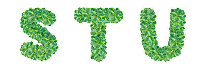 The letters S, T, U are made from strawberry leaves