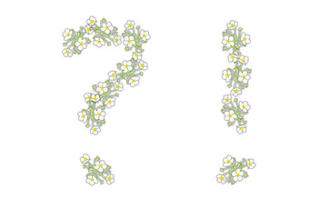 Question mark and exclamation mark made of white flowers